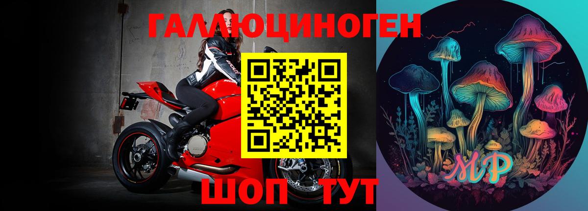 Ачхой-Мартан  сколько стоит  Вход с VPN  Галлюциногенные грибы MAGIC MUSHROOMS  Галлюциногенные грибы Psilocybine cubensis 